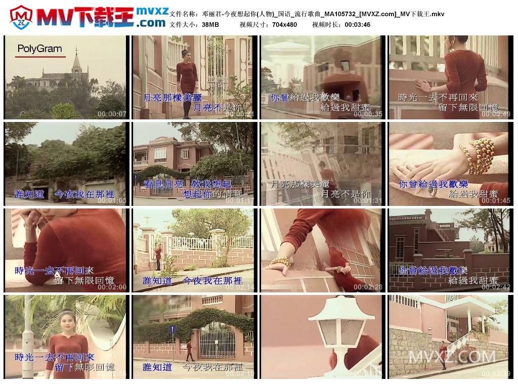 邓丽君-今夜想起你(人物)_国语_流行歌曲_MA105732